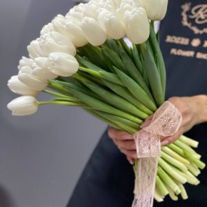 51 белый тюльпан