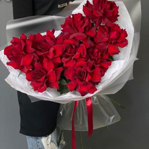 Красная французская роза Эксплорер