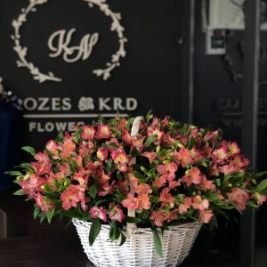 51 ветка альстромерии в корзине