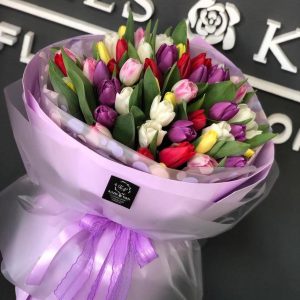 51 разноцветный тюльпан